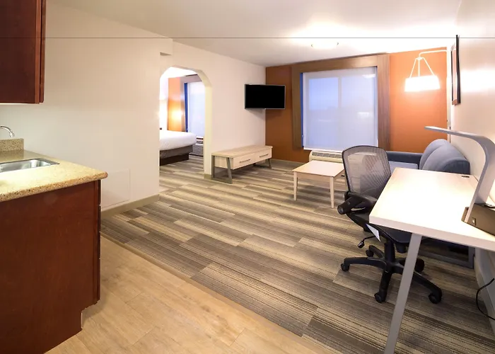 Holiday Inn Express Hotel & Suites Grand Blanc By Ihg
